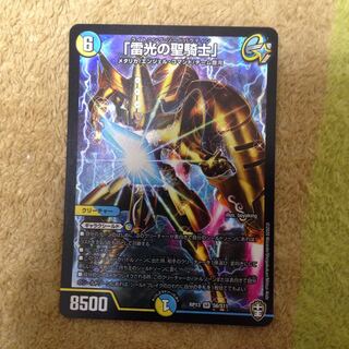 ｢雷光の聖騎士｣ライトニングソードパラディン