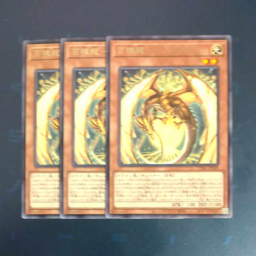 Hundred Apple Dragon - Ringo Blum rare JP029✕3 [Mokurindo