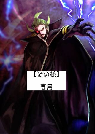 【どめ様】専用