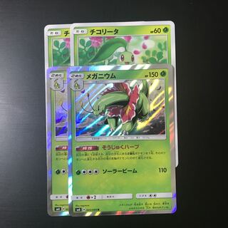 メガニウム そうじゅくハーブ