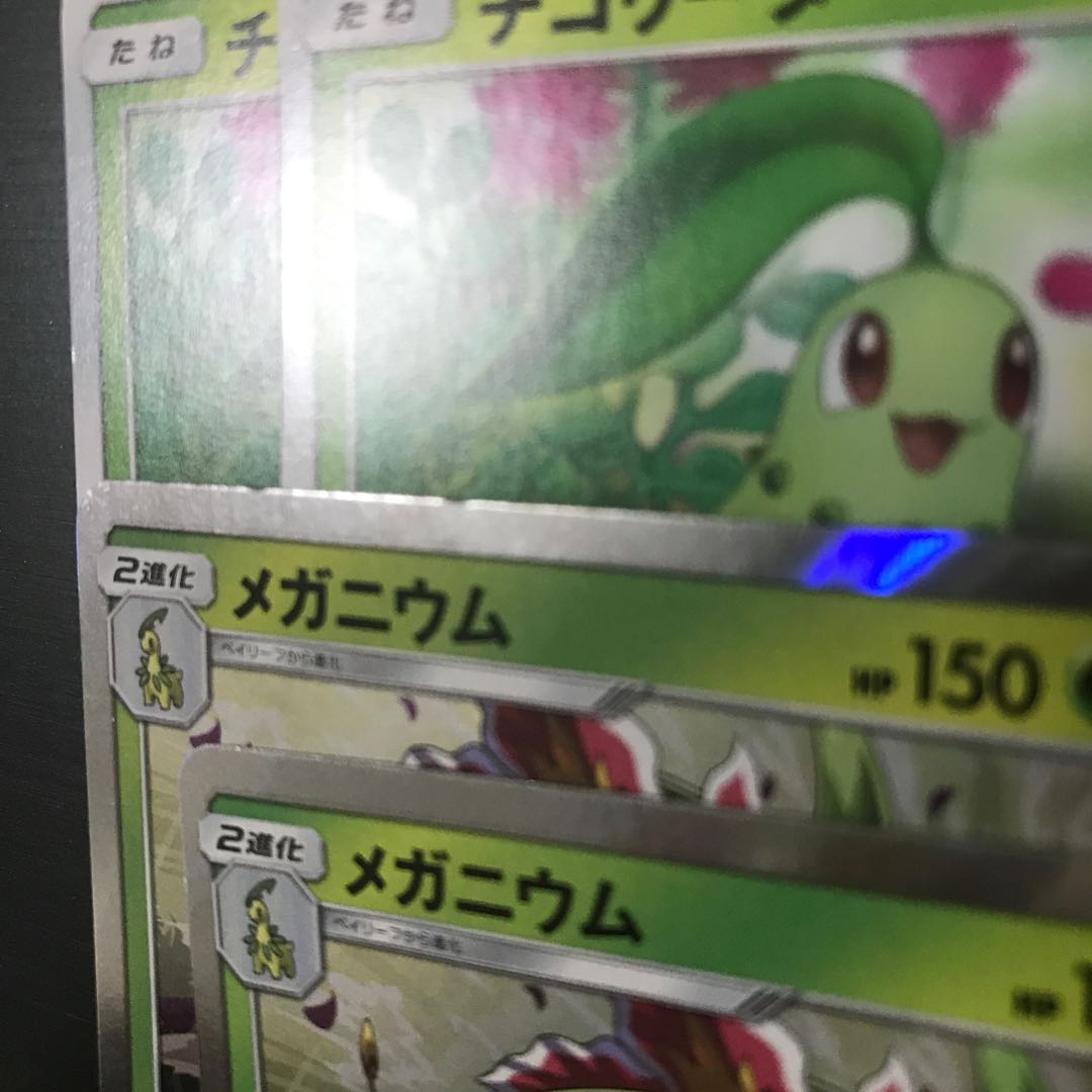 メガニウム そうじゅくハーブ