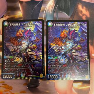 (専用)不死鳥縫合 ブラック・ビッグバン SR S10/S11 2枚セット