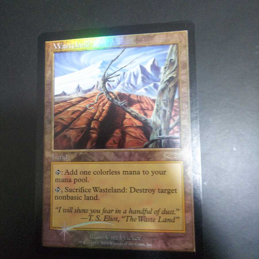 不毛の大地 foil