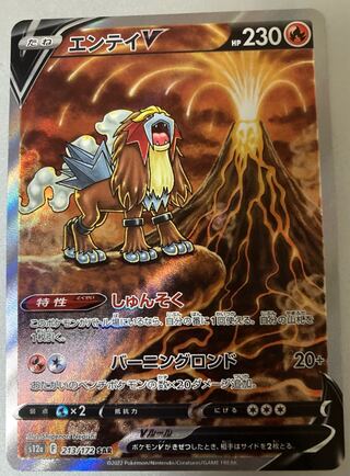 EnteiV SAR 213/172 Pokémon Card vstar Universe (Used
