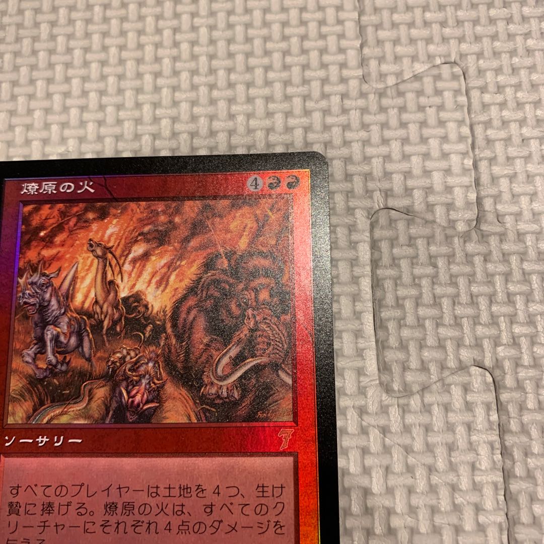 Wildfire rare 228/350 7th ed. foil