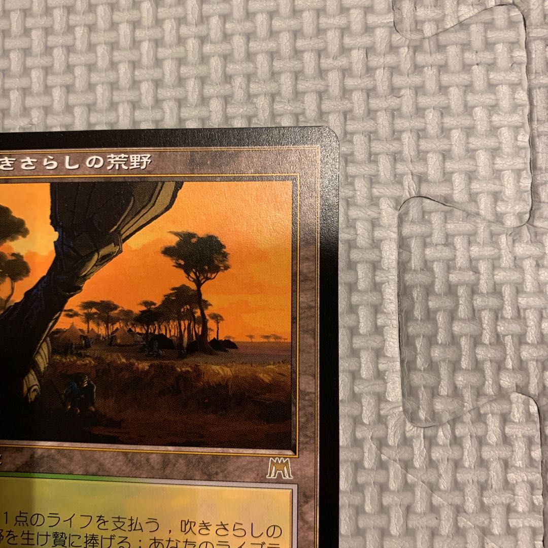 Windswept Heath Rare 328/350