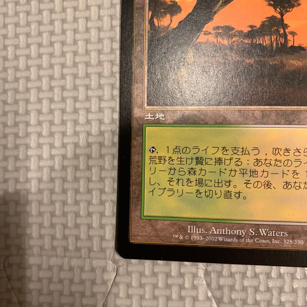 Windswept Heath Rare 328/350