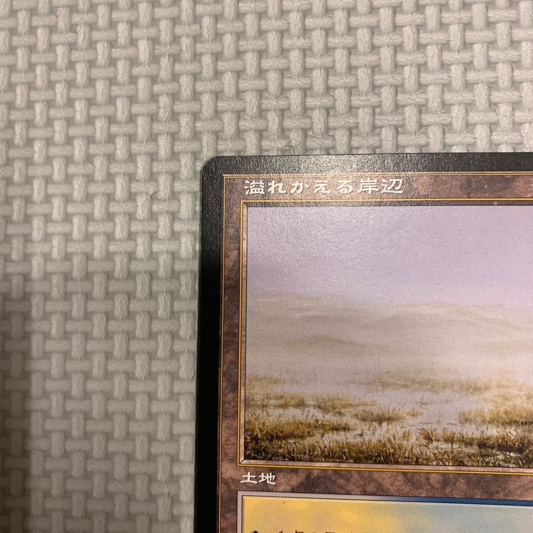 Flooded Strand Rare 316/350