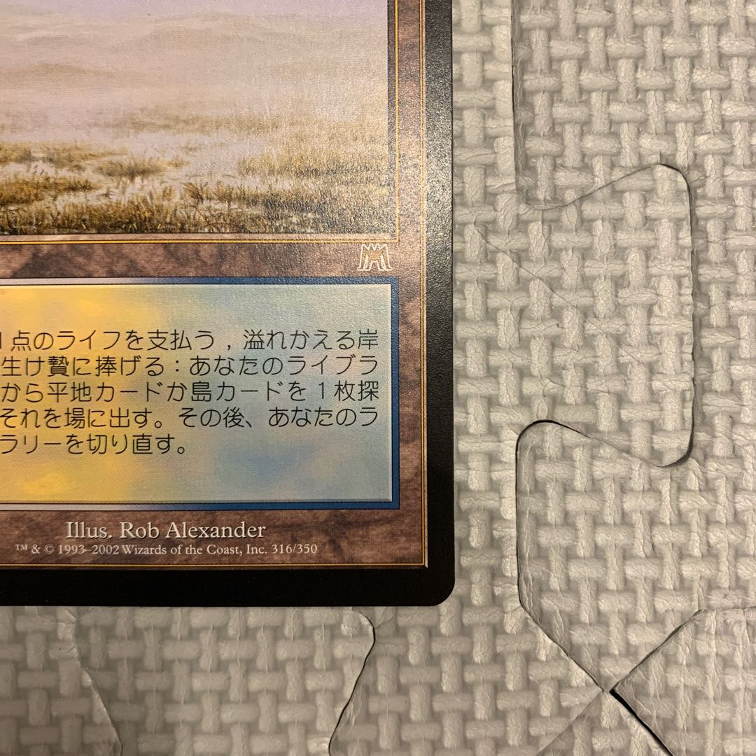 Flooded Strand Rare 316/350