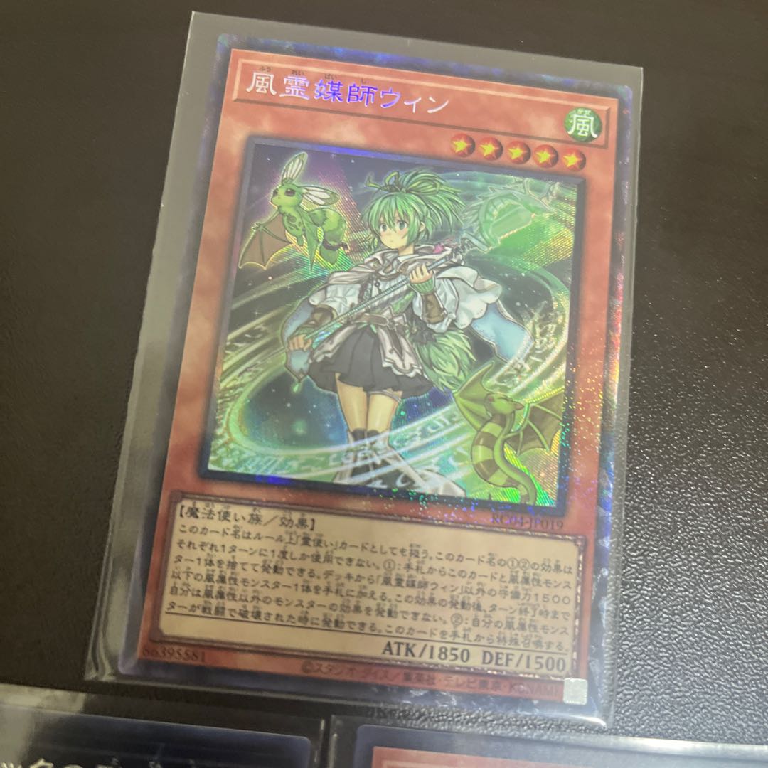 Special Price Wynn the Wind Channeler Collector's Rare JP019 with extras