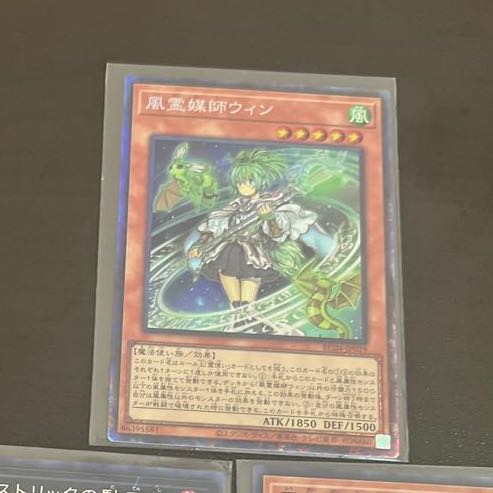 Special Price Wynn the Wind Channeler Collector's Rare JP019 with extras