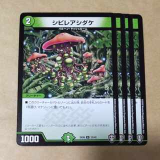 4 Poisonous Mushrooms