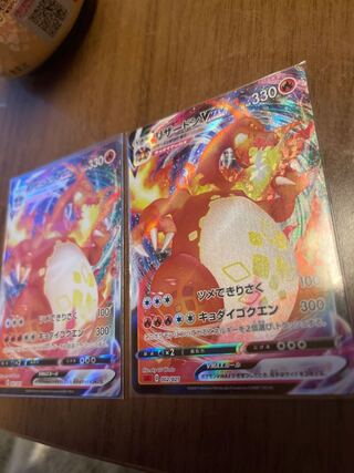 (Charizard) 2 sheets