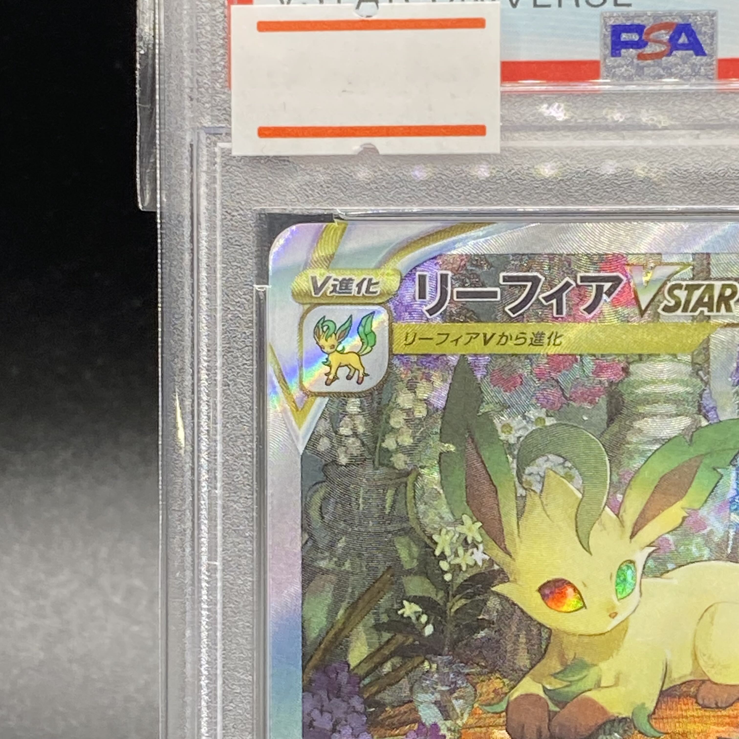 PSA10 LeafeonVSTAR SAR 210/172