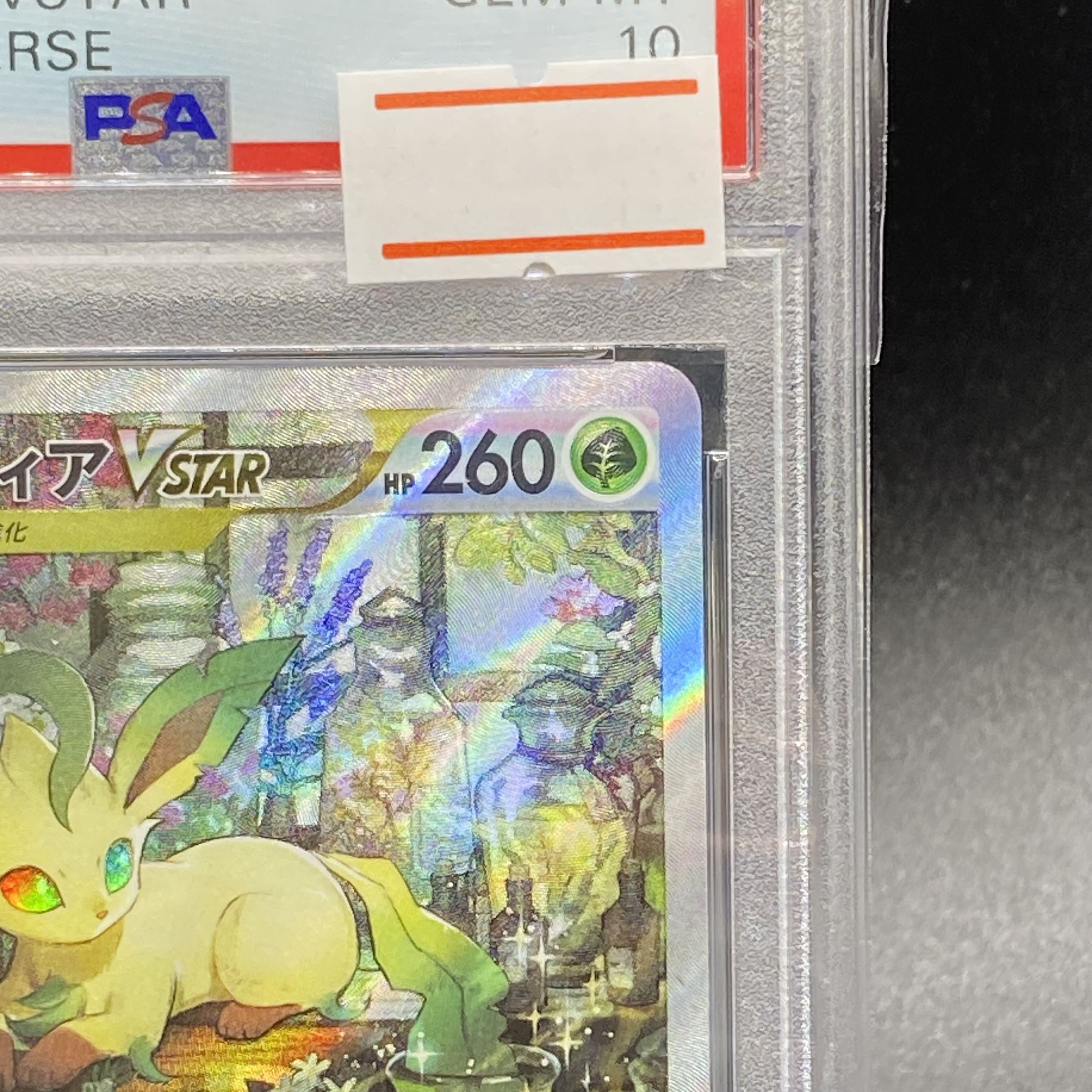 PSA10 LeafeonVSTAR SAR 210/172