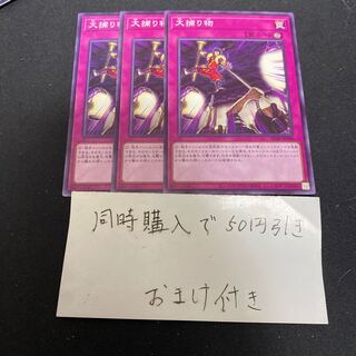 大捕り物 28301 1枚