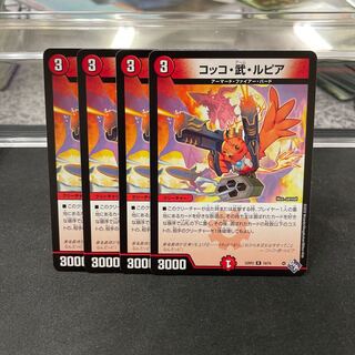 Cocco Bu Lupia R 19/74