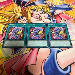 Evo-Diversity Normal JP058