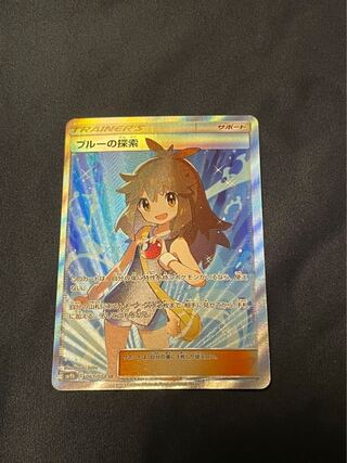 ブルーの探索　magi様専用