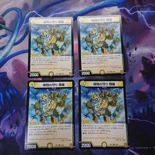 検問の守り 輝羅 U 33/95