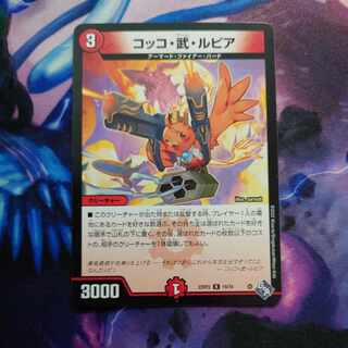 Cocco Bu Lupia R 19/74