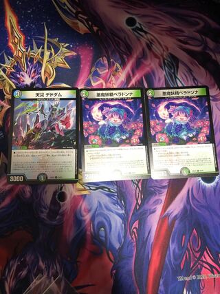 天災 デドダム ベラドンナ 1枚