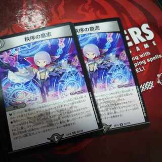 秩序の意志 R 35/110