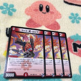 Cocco Bu Lupia R 19/74