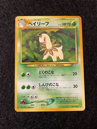 Bayleef Old Back: Pa-Paint Outlet Sale