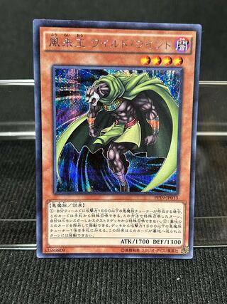 風来王 ワイルド・ワインド シークレットレア JP013 【65】 1枚