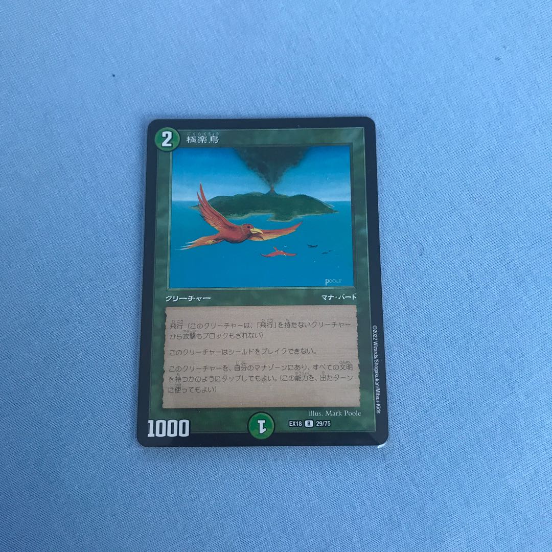 Birds of Paradise R 29/75