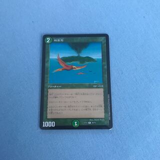 Birds of Paradise R 29/75