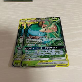 フシギバナ&ツタージャ 2枚