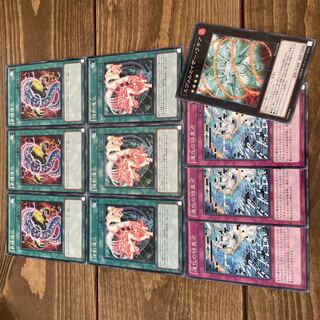 Evo-Diversity Evo-Force Evo-Singularity Evo-Kaiser Lagia