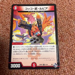 Cocco Bu Lupia R 19/74