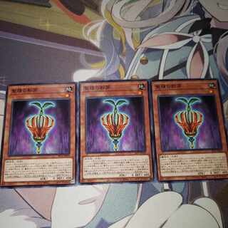 聖種の影芽 ノーマル JP029