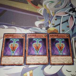 聖種の影芽 ノーマル JP029