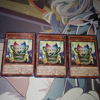 Sunseed Twin Normal JP030