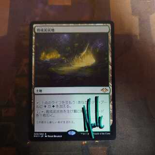 育成泥炭地 サインド