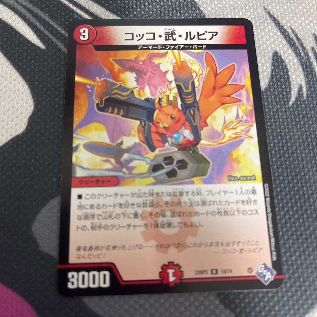 Cocco Bu Lupia R 19/74