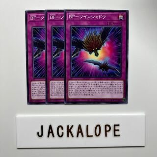 BF-Twin Shadow $6808