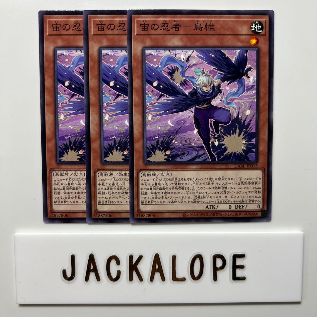 10565 宙の忍者-鳥帷 ノーマル JP015