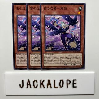 10565 Ninja in the Air - Bird Mail $6832