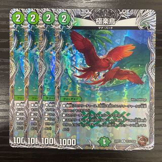 Birds of Paradise (Copper Treasure) R-foil TF12/TF20