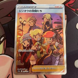 Shin-Oh's friends SR 247/172