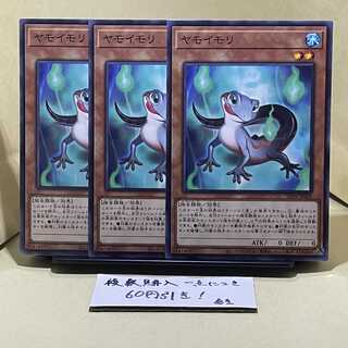 ヤモイモリ ノーマル JP029