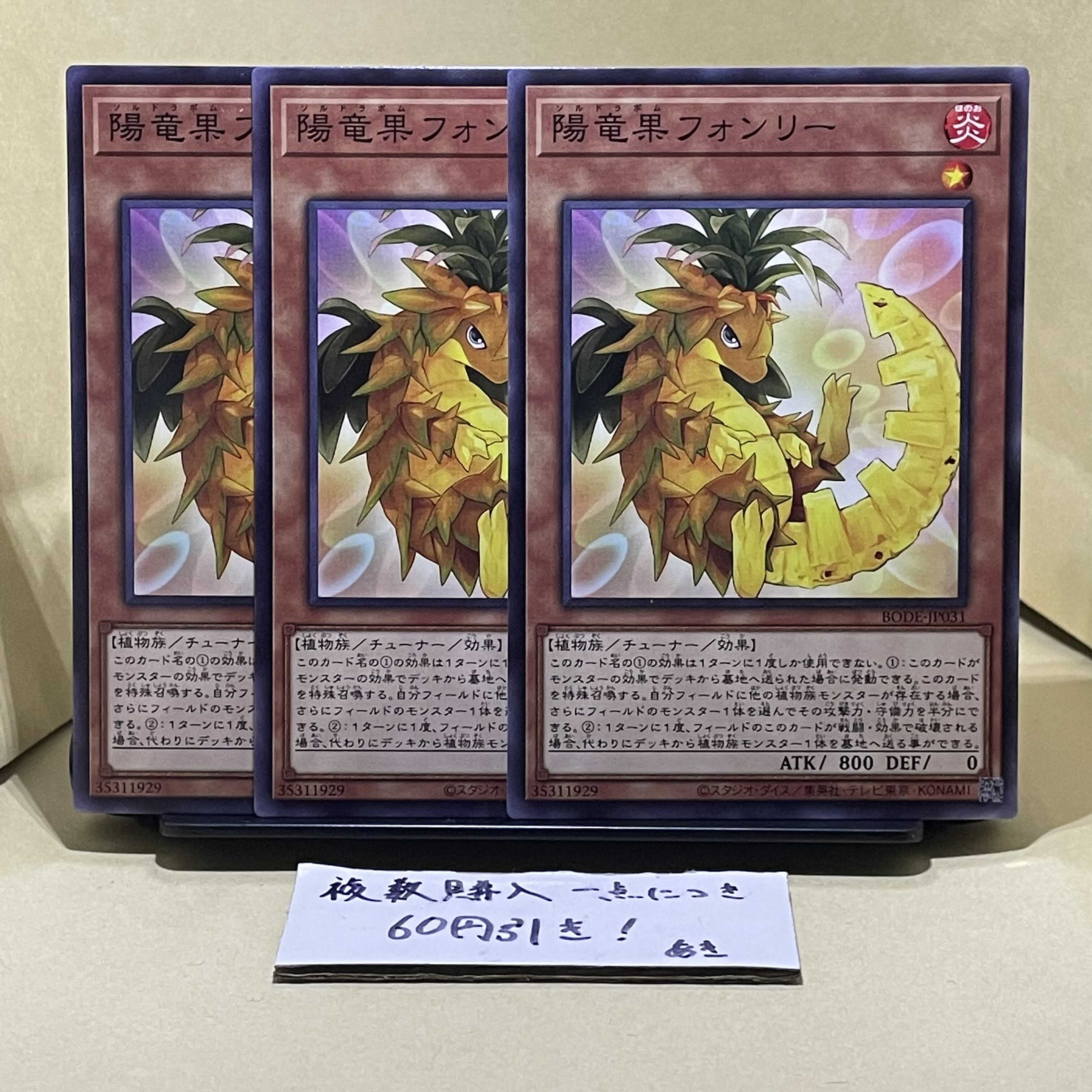 陽竜果フォンリー ノーマル JP031