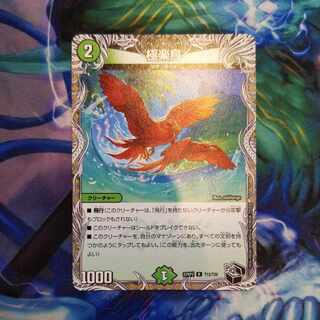 Birds of Paradise (Black Treasure) R T12/T20 1 piece