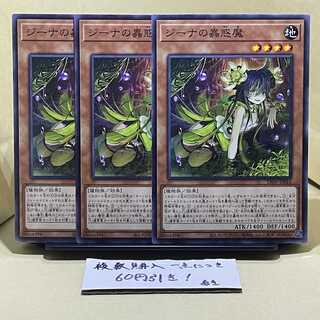 Traptrix Vesiculo Normal JP016