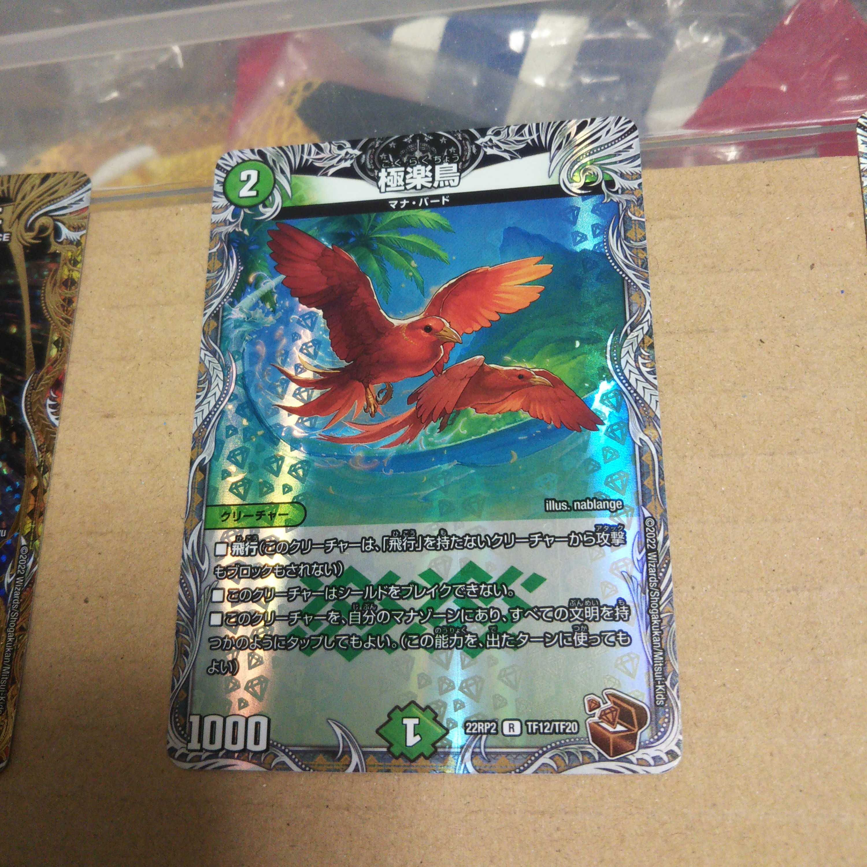 Birds of Paradise (Copper Treasure) R-foil TF12/TF20